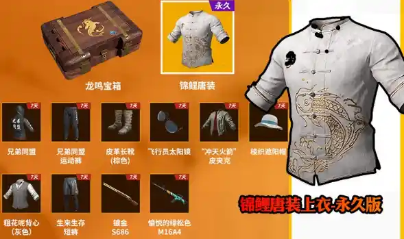 PUBG Koi Tang Suit Crate One