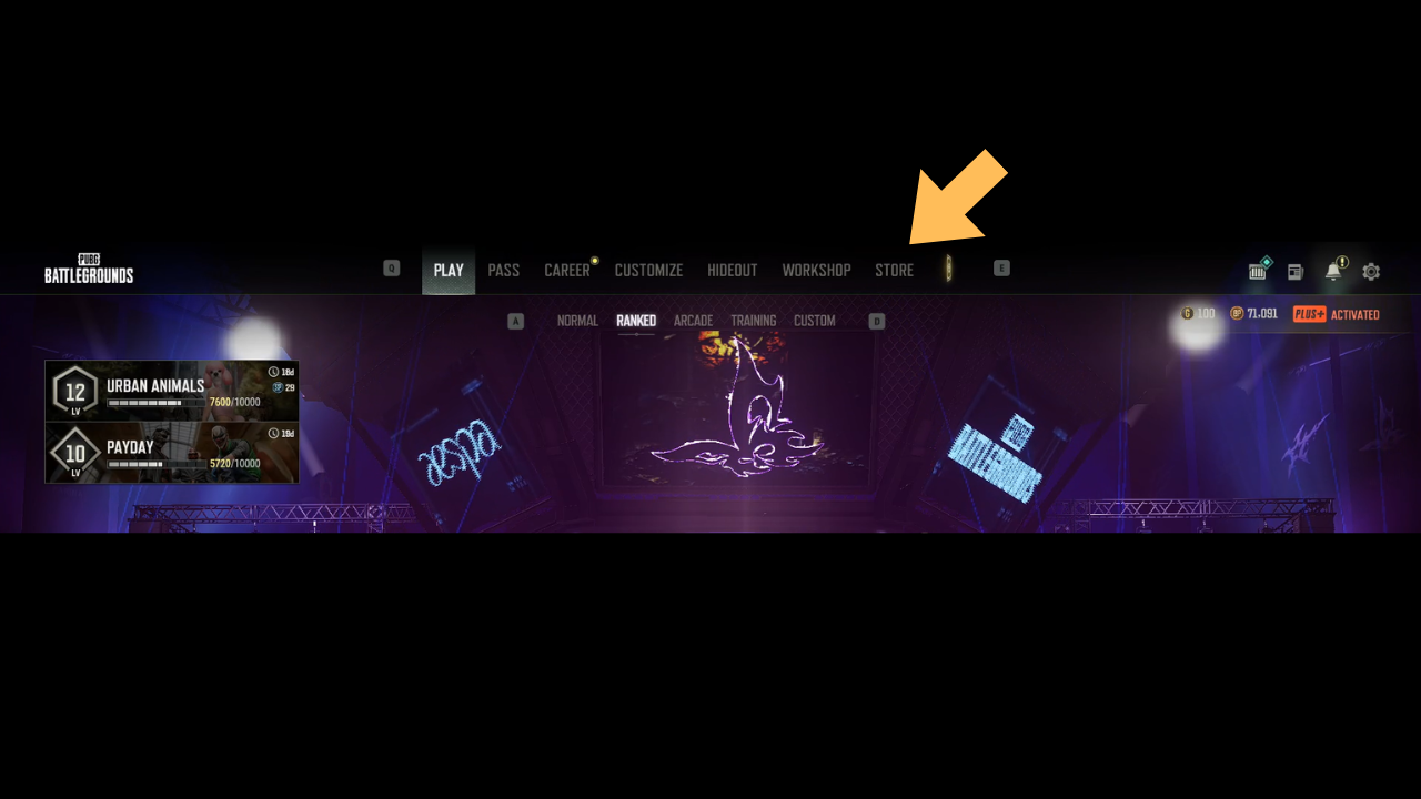 Step 1: Once in PUBG PC go to store